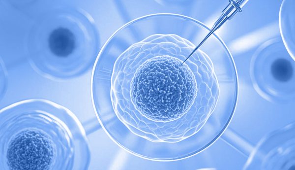 w88win优德·(中国)手机版官网