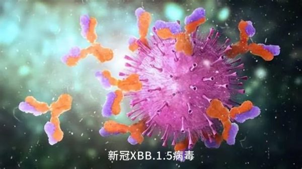 w88win优德·(中国)手机版官网